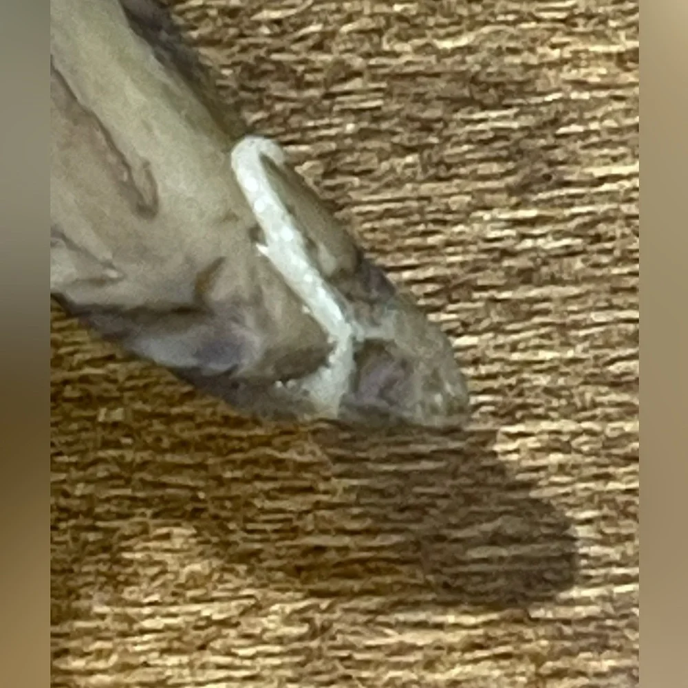 Hummingbird decor - Picture 10 of 10